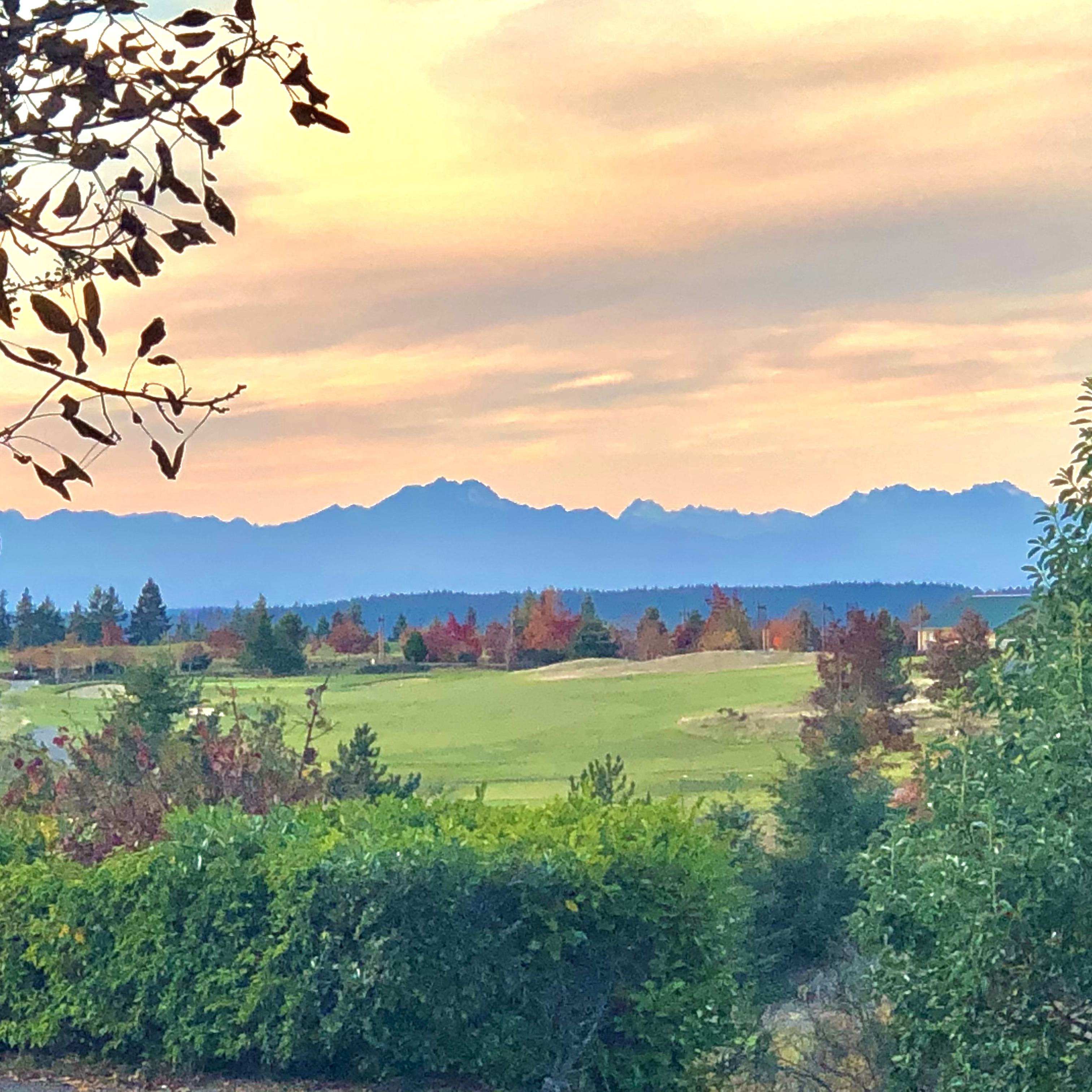 One of the many amazing views in my neighborhood.