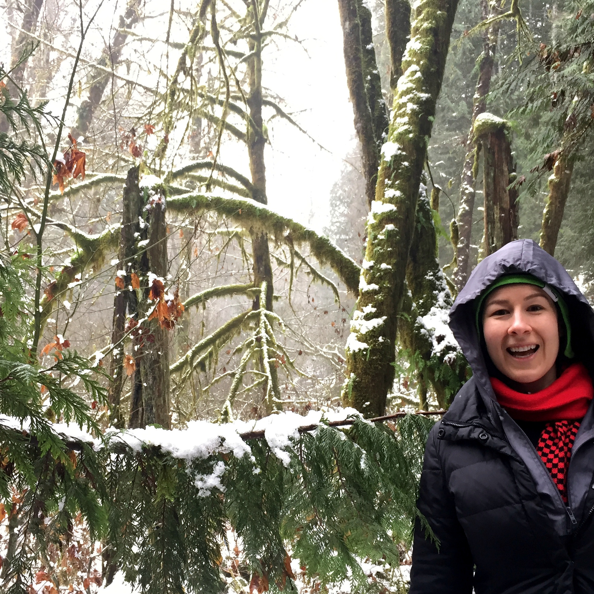 Winter hike in the Olympic National Forest (Cale is taking the photo)