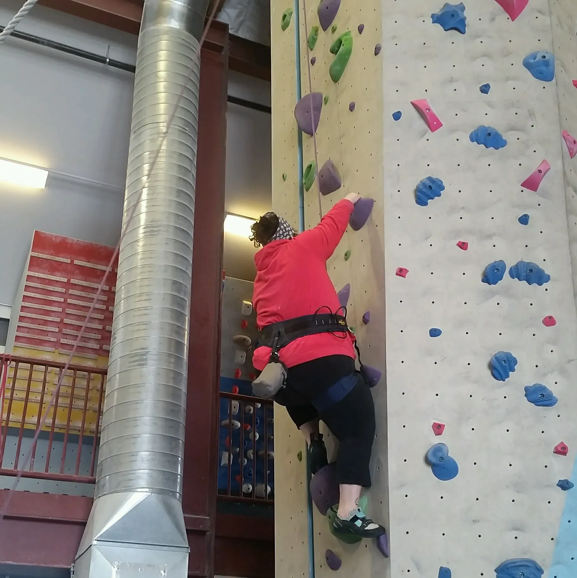 Big bodies can do everything, even rock climbing!