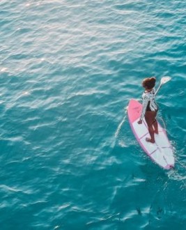 Bateau/Canoë/Paddle