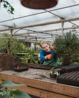 Jardinage 101: utilisation du compost dans votre jardin