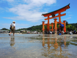 日本宮島10月開徵訪問稅 沖繩離島等地評估跟進