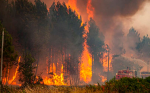 死亡破千! 熱浪襲歐洲 山火肆虐數萬民眾被迫撤離 葡萄牙迎來47度超高溫
