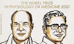 【2021諾貝爾生醫獎】眾所矚目mRNA技術落馬，美國2學者發現人體「感知」機制共同獲獎
