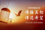 承載希望的海鷗:一個20年打造的奇蹟(2)