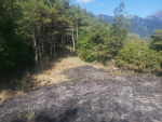台中馬武霸山附近森林火警 延燒近23小時撲滅