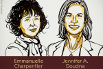 【2020諾貝爾獎】開發「基因編輯技術」　美法2名女學者共享化學獎殊榮