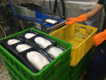 超市量販支持台灣物產 推出虱目魚搶上億元商機