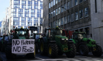 農民前進布魯塞爾示威，蛋洗歐洲議會、千輛農機擋路，歐盟提案盼平息眾怒