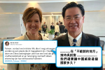 【獨家】吳釗燮成功見到歐盟執委會官員　議員推文「在不能說的地方」酸中國