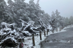 【開心片】太平山下雪啦！絕美白色世界畫面曝光　遊客直呼：太興奮了