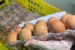 噁！泰國進口蛋發霉還被回收再製成蛋液　衛生局當場開罰
