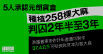 5人承認元朗貨倉種植258棵大麻　判囚兩年半至3年