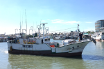 東港「昇豐128號」太平洋公海失聯2天　漁業署：協調5艘友船救援