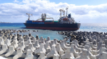 貝里斯貨輪台東外海擱淺 啟動防疫和防漏油措施