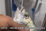 中國堅持清零廈門魚蝦也要做核酸檢測　網友：魚有身分證？