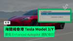 海關揭香港Tesla Model 3/Y 將有 Enhanced Autopilot 可選配項目