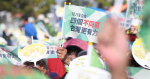 【特寫】12.18 台灣「四大公投」勢將左右政制、民生、環保、外交　但爭議是甚麼？