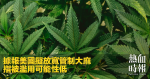 據報美國擬放寬管制大麻　指被濫用可能性低