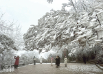 今年首寒潮 南方或雨雪暴雪