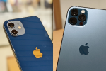 藍色真的很雷嗎？蘋果 iPhone 12、 iPhone 12 Pro 實機外觀顏色一次看