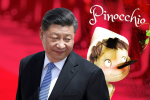 宋國誠專欄：中國－國際皮諾丘