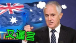 總理眾叛親離 威脅辭國會一拍兩散 澳洲執政黨今勢換黨魁