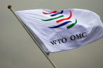 不滿WTO農業角色 數百人日內瓦上街抗議