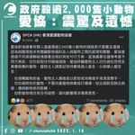 政府殺逾2,000隻小動物 愛協：震驚及遺憾