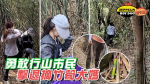 行山市民擊退偷摘竹筍大媽 直擊燕岩竹林變垃圾崗｜齊柏林熱狗店特約爆片爆相