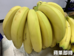 傳500噸有毒帶蟲香蕉運抵市場　陳吉仲駁：從沒進口、不實謠言