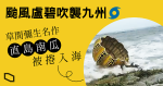 【睇片】日本直島草間彌生南瓜雕塑　不敵颱風被捲落海