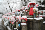 東京大雪紛飛積雪10公分 4年來僅見