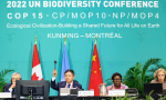 聯合國生物多樣性峰會COP15，達成歷史性自然保護協議