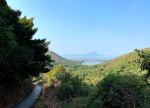 After the outbreak began, lantau islanders lived