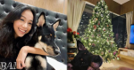 黃心穎時隔11個月再更新Ig 未現身僅甫愛犬與聖誕樹照片 (16:15)