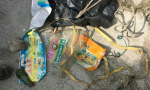 環團調查：以刺網漁法撈海水中下層，雲嘉沿海多塑膠海廢