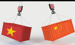 當美國大幅增加自越南的進口，越南大部分出口產品卻依賴中國進口項目的投入