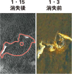 海底通訊電纜疑斷 維修需兩周