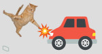 《道路交通條例》修訂周日生效　司機撞到貓狗不停車可囚一年