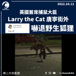 英國首席捕鼠大臣Larry 唐寧街外嚇退野生狐狸