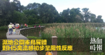 濕地公園雀鳥屍體　對H5禽流感初步呈陽性反應