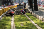 輕軌路廊添綠意　11/18進入雨豆樹路段試車