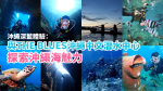 沖繩深藍體驗：與THE BLUES沖繩中文潛水中心探索沖繩海魅力