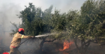 熱風暴肆虐 死亡谷出現地球最高溫 西班牙飆上44度引發森林野火 