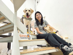 Bay Area hot search: Hong Kong people Suijian training school for guide dogs to do cattle in the wilderness