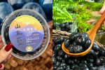 台灣藍莓「山丘藍」正式上市！阿里山產地新鮮直送 7-11 就能買得到