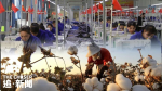 中美角力｜美國禁26間中國棉花企業進口 涉新疆強迫勞動
