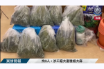 葵涌油塘工廈成大麻種植場 3人被捕