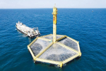 灣區熱搜：遠海養殖新「藍海」 普遍能源自給